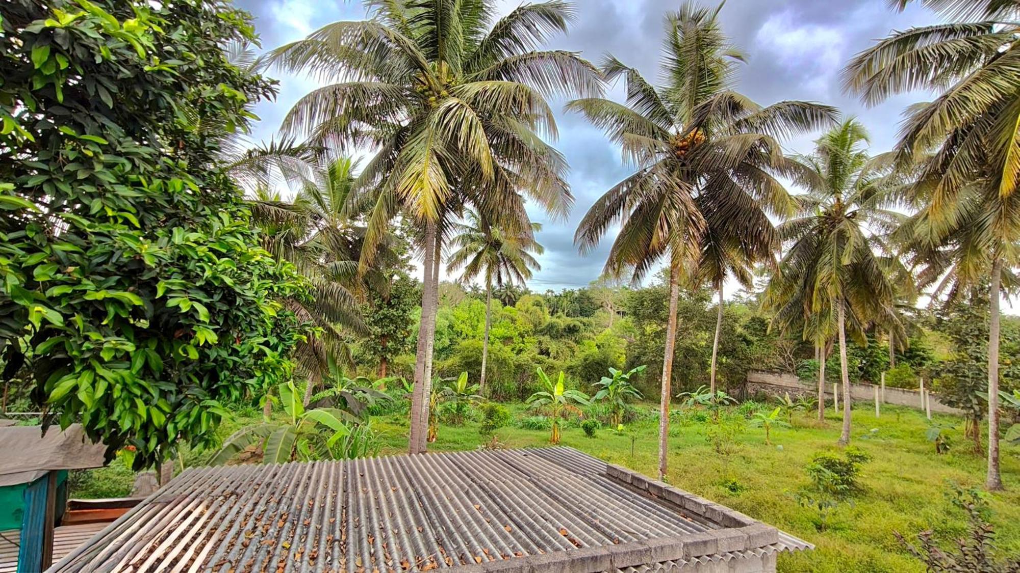 Flintstone Home Kushālnagar Exterior foto